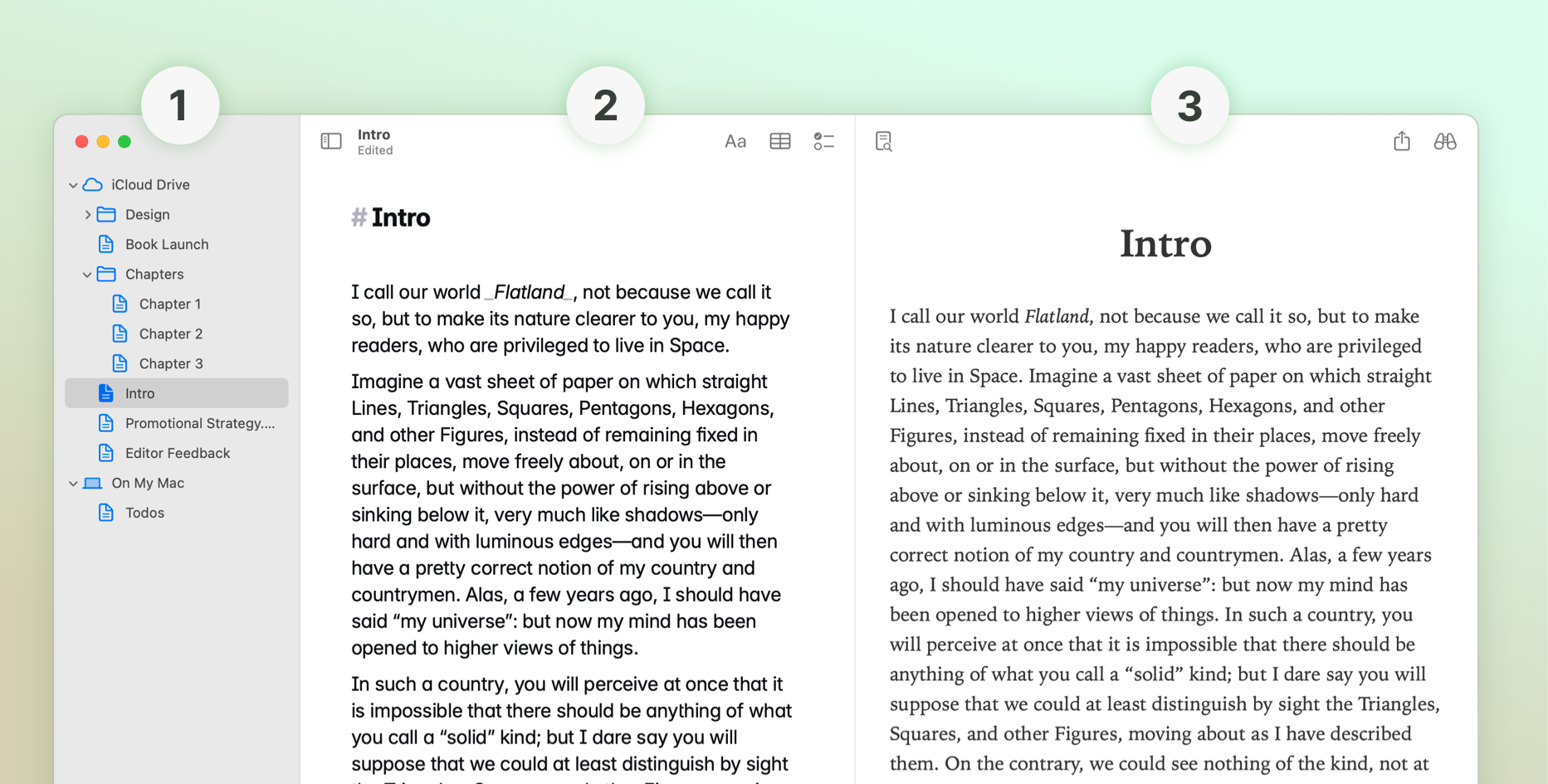 A screenshot of the Paragraphs macOS app interface.
