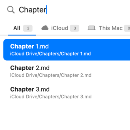 A screen of the Paragraphs open quickly feature